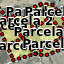 Publicacion